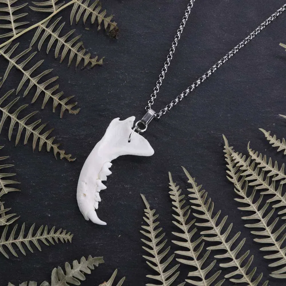 Handcrafted real mink jaw necklace from the Darkwood Thorn collection, displayed on a cold black stone surface with delicate fern fronds for a nature goth look.