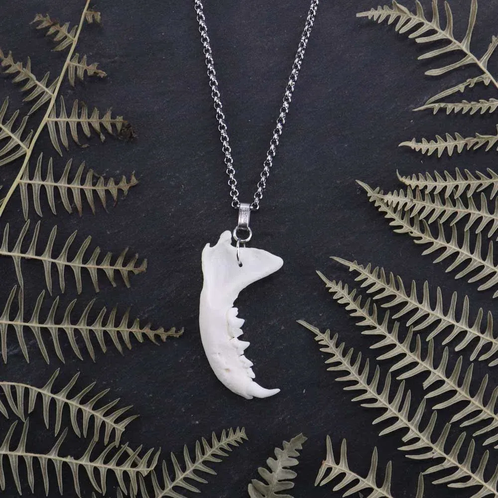 Close-up of genuine mink jaw showing the smooth ivory texture against a rugged dark rock backdrop with soft, ethereal fern silhouettes.