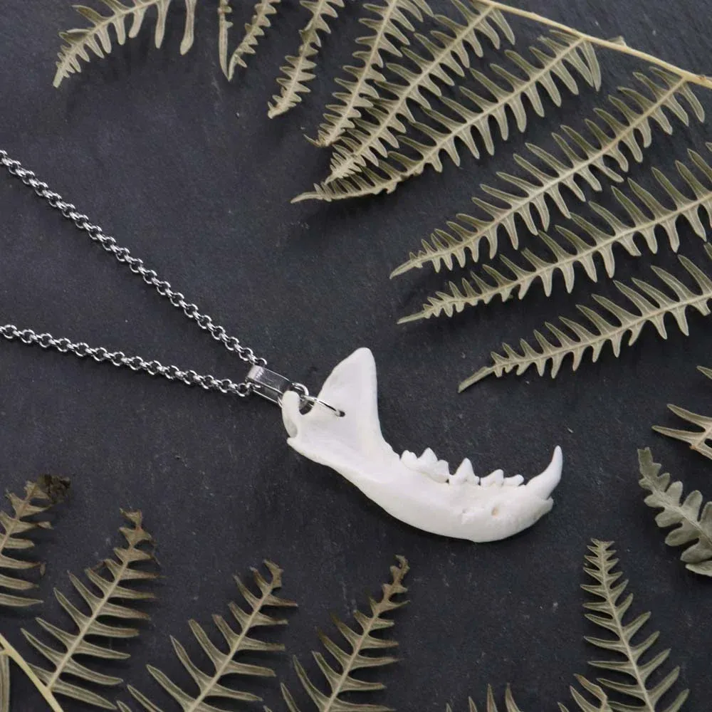 Alternative style mink jaw pendant resting on a dark stone slab, surrounded by organic dried ferns in moody, low-light.