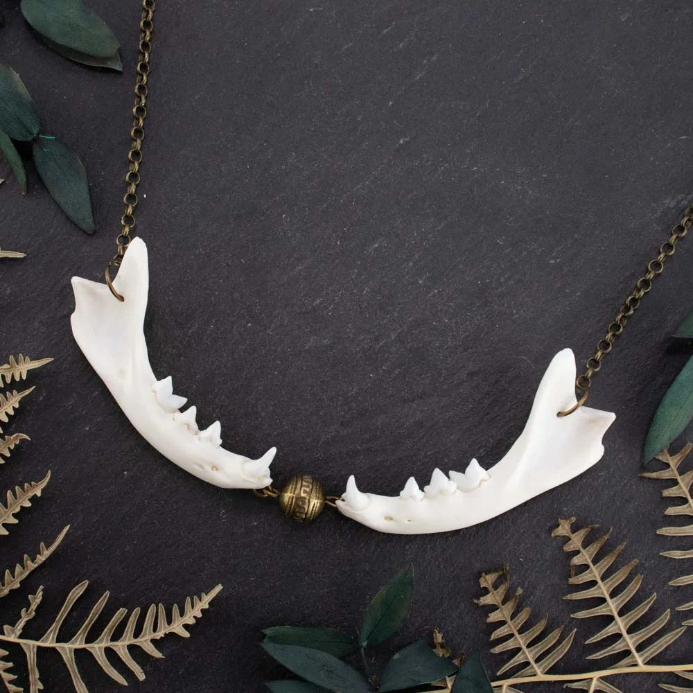 Detailed top-down view of a handmade tribal necklace with ethically sourced predator mandibles, showcasing natural bone textures against a moody dark background.