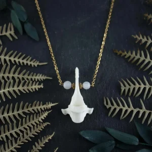 Intricate fox vertebrae bone necklace featuring a natural white vertebrae pendant accented by smooth white agate stones on a gold stainless steel chain.
